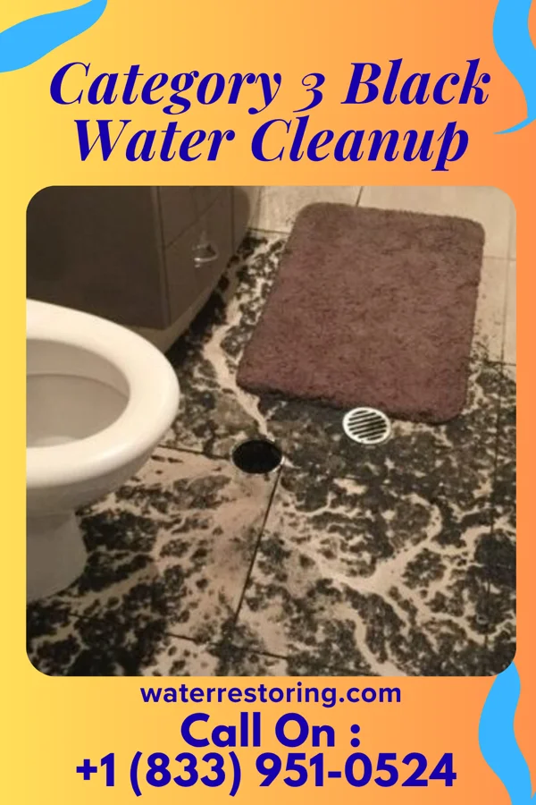 Category 3 Black Water Cleanup in Elizabethtown, NC